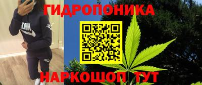 ешки Пугачёв