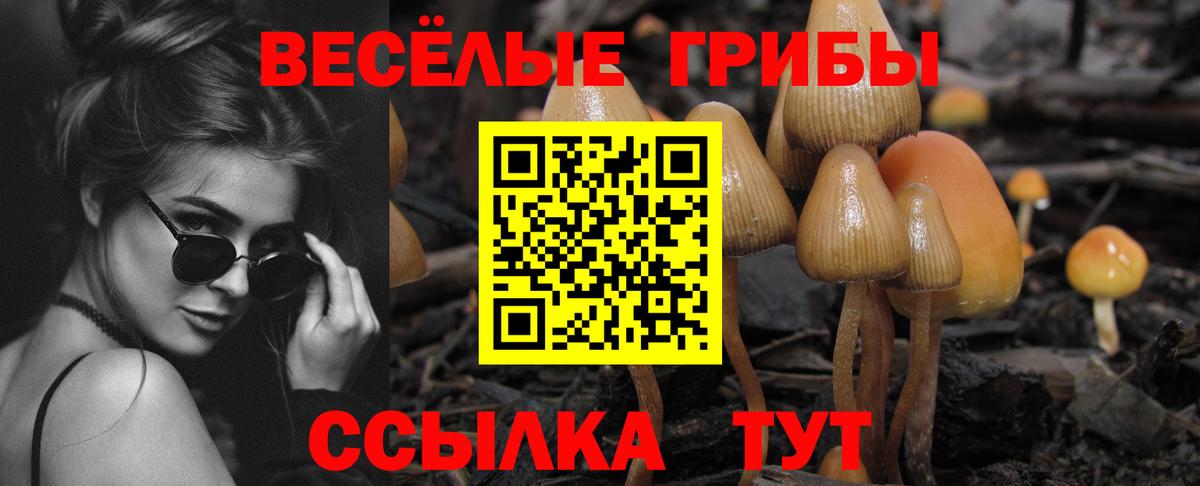Печора  Псилоцибиновые грибы Magic Shrooms  Вход с VPN  Галлюциногенные грибы GOLDEN TEACHER 